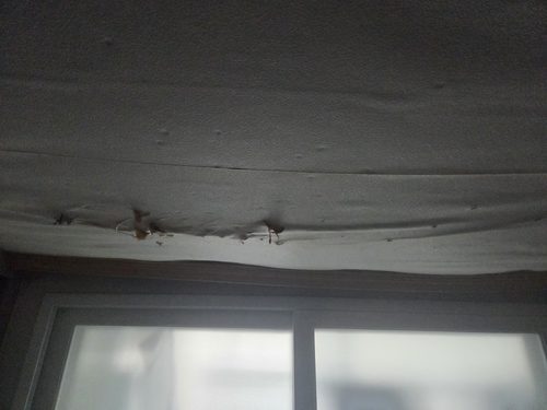 누수탐지 정*호 후기 사진