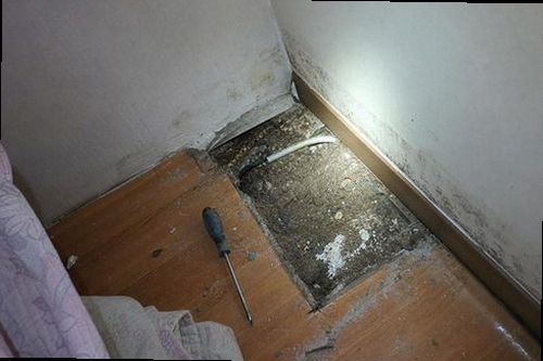 관악구 누수탐지 천장 얼룩과 벽면 곰팡이가 나타난 누수 피해 현장