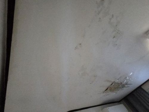 누수탐지 벽면 도배지에 번진 얼룩의 위치와 번짐 방향을 확인하는 점검 장면
