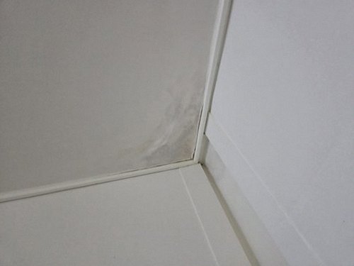 광진구 정*훈 후기 사진 광진구 정*훈 후기 사진