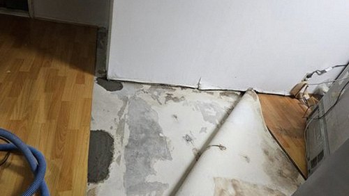 광진구 이*민 후기 사진 광진구 이*민 후기 사진