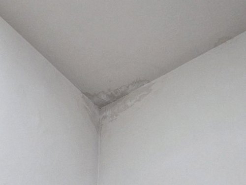 구로구 배*경 후기 사진 구로구 배*경 후기 사진