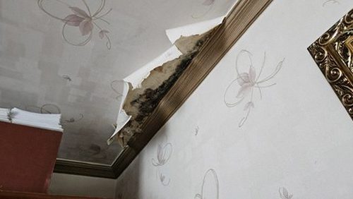 노원구 정*호 후기 사진