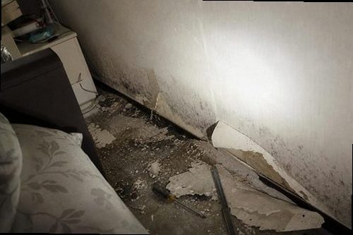 누수탐지 압력 검사와 가스 탐지로 누수 범위를 좁히는 현장 진단 장비