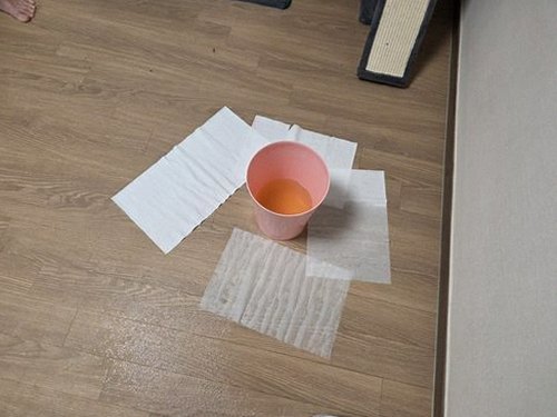 종로구 서*현 후기 사진 종로구 서*현 후기 사진