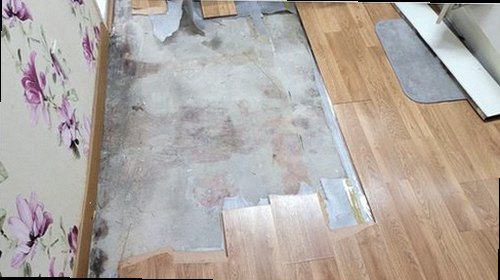 종로구 누수탐지 아래층 천장에 번진 누수 얼룩과 주변 상태