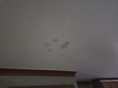누수탐지 안방 벽 모서리에 번진 물자국과 벽지 상태를 확인하는 모습
