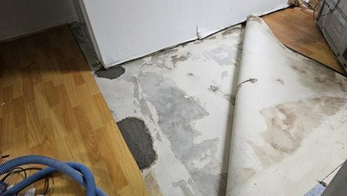누수탐지 벽지 얼룩과 천장 누수 흔적을 살펴보는 점검 장면
