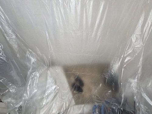 영등포구 배*원 후기 사진 영등포구 배*원 후기 사진