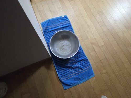 오피스텔 욕실 누수 보수 가평 누수탐지 오피스텔 욕실 누수 보수