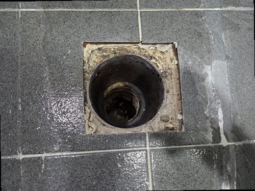 과천 윤*희 후기 사진