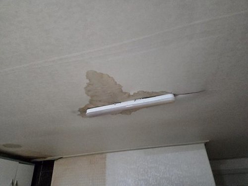 누수탐지 벽지 얼룩 점검 장면