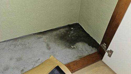 광명 오*석 후기 사진