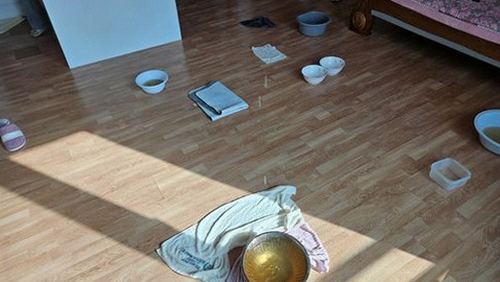시흥 최*정 후기 사진