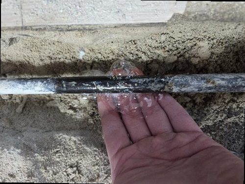 연천 장*원 후기 사진 연천 장*원 후기 사진