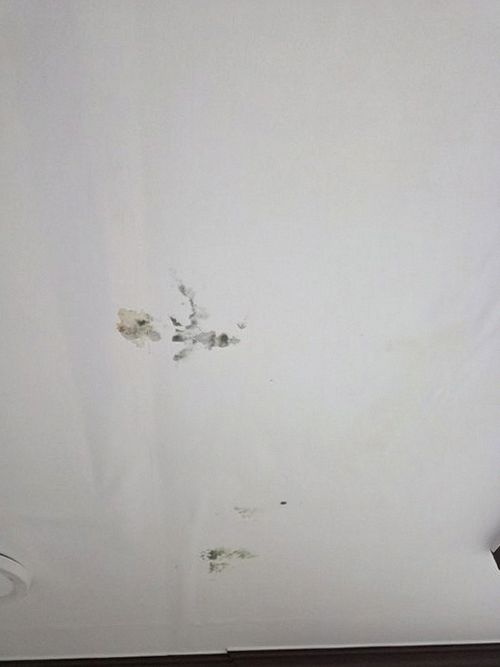 누수탐지 벽지 얼룩과 들뜸이 같은 위치에서 반복되는 실내 벽면 상태