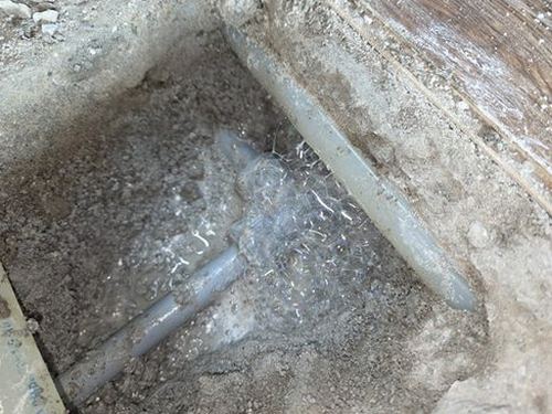 덕양구 임*희 후기 사진 덕양구 임*희 후기 사진