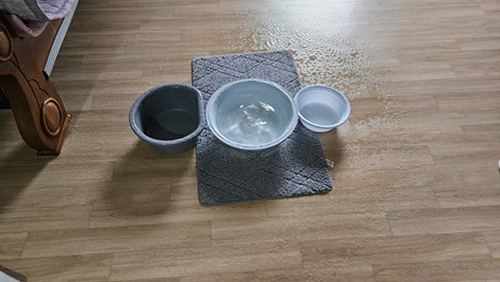 덕양구 박*수 후기 사진 덕양구 박*수 후기 사진