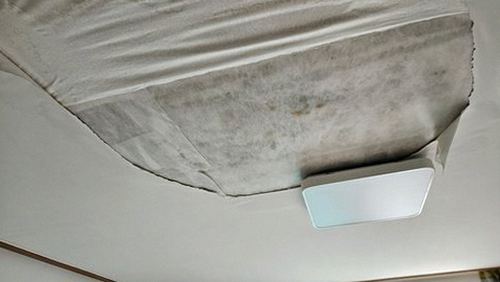 오정구 박*수 후기 사진 오정구 박*수 후기 사진