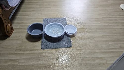 수정구 오*현 후기 사진 수정구 오*현 후기 사진