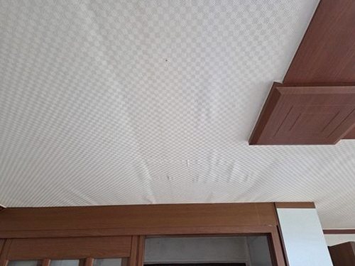 장안구 한*영 후기 사진 장안구 한*영 후기 사진