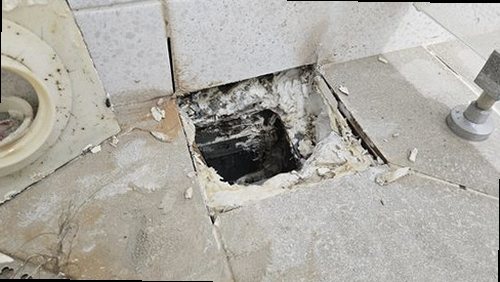 장안구 임*석 후기 사진 장안구 임*석 후기 사진