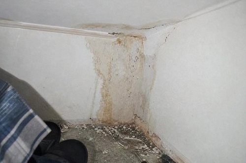 누수탐지 천장 얼룩 발생 위치를 기록하는 점검 메모