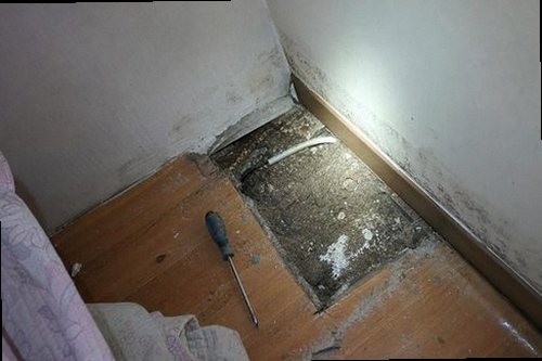 누수탐지 누수 피해 부위와 벽면 수분 상태를 확인하는 현장 점검