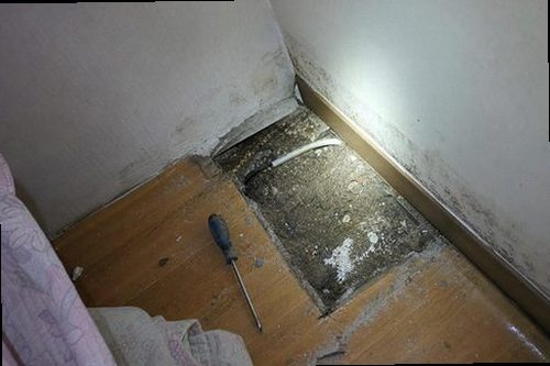 동안구 누수탐지 벽면 얼룩과 천장 누수 흔적을 확인하는 모습