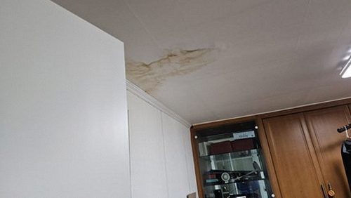 동안구 정*호 후기 사진 동안구 정*호 후기 사진