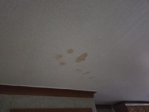 누수탐지 벽지 얼룩의 번짐 방향을 기록하는 점검 장면