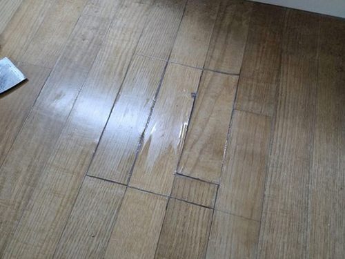 처인구 문*경 후기 사진 처인구 문*경 후기 사진