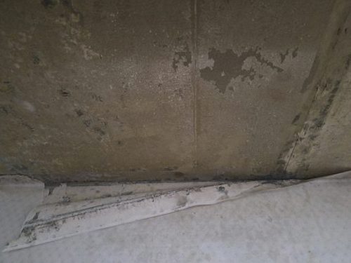동탄구 조*현 후기 사진 동탄구 조*현 후기 사진