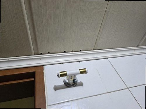 동탄구 최*정 후기 사진 동탄구 최*정 후기 사진
