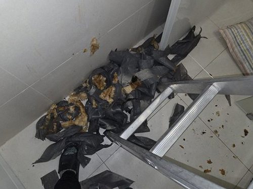 병점구 오*진 후기 사진 병점구 오*진 후기 사진