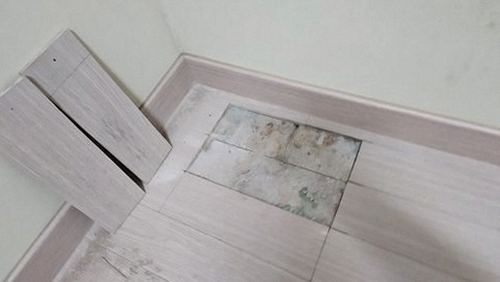 효행구 김*아 후기 사진 효행구 김*아 후기 사진