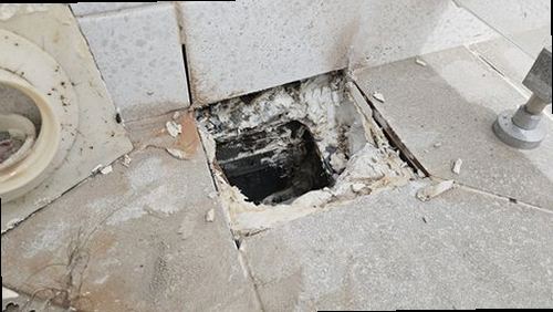 효행구 서*희 후기 사진 효행구 서*희 후기 사진