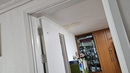 일산동구 정*호 후기 사진 일산동구 정*호 후기 사진