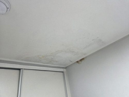 일산서구 최*정 후기 사진 일산서구 최*정 후기 사진