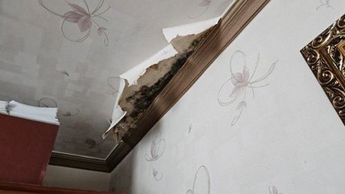 연수구 오*진 후기 사진 연수구 오*진 후기 사진