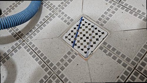 옹진군 배*림 후기 사진 옹진군 배*림 후기 사진