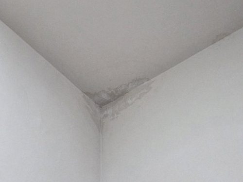 제물포구 문*희 후기 사진