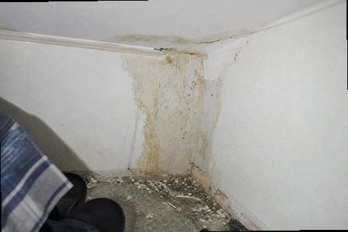 천안시 동남구 누수탐지 천장에 번진 누수 얼룩과 주변 습기 상태