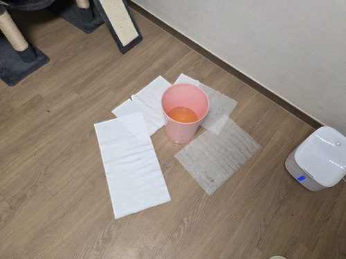 아산시 이*민 후기 사진