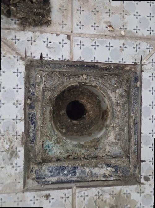 대전 동구 장*현 후기 사진 대전 동구 장*현 후기 사진