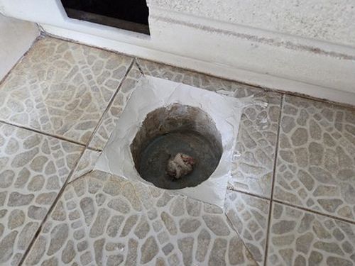대전 서구 조*경 후기 사진 대전 서구 조*경 후기 사진
