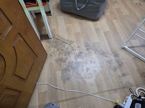 상가 욕실 방수층 점검 대전 서구 누수탐지 상가 욕실 방수층 점검
