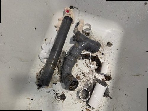 대전 중구 임*원 후기 사진 대전 중구 임*원 후기 사진