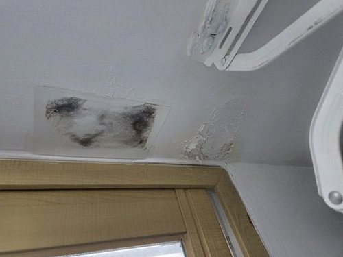 대전 중구 최*정 후기 사진 대전 중구 최*정 후기 사진
