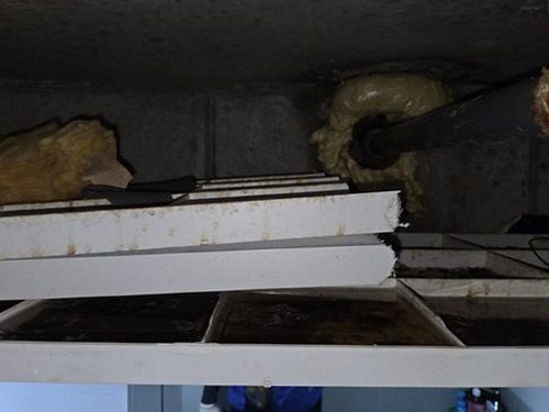 대전 중구 장*훈 후기 사진 대전 중구 장*훈 후기 사진